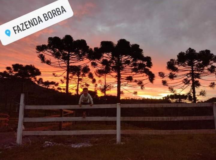 Casa E Cabana De Campo Fazenda Borba Urubici Exterior photo